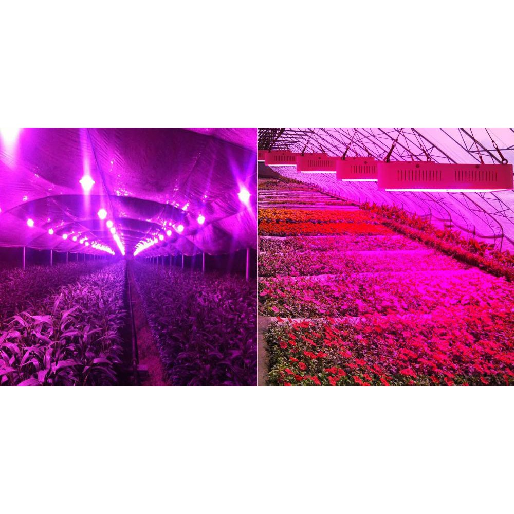 LED 1W Plant Grow Light Full Spectrum 400-840nm Lampu Tanaman Tumbuhan