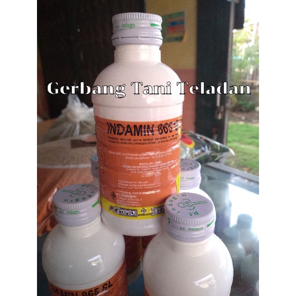 Indamin , INDAMIN 865 SL , Indamin Herbisida , Indamin 200 ml