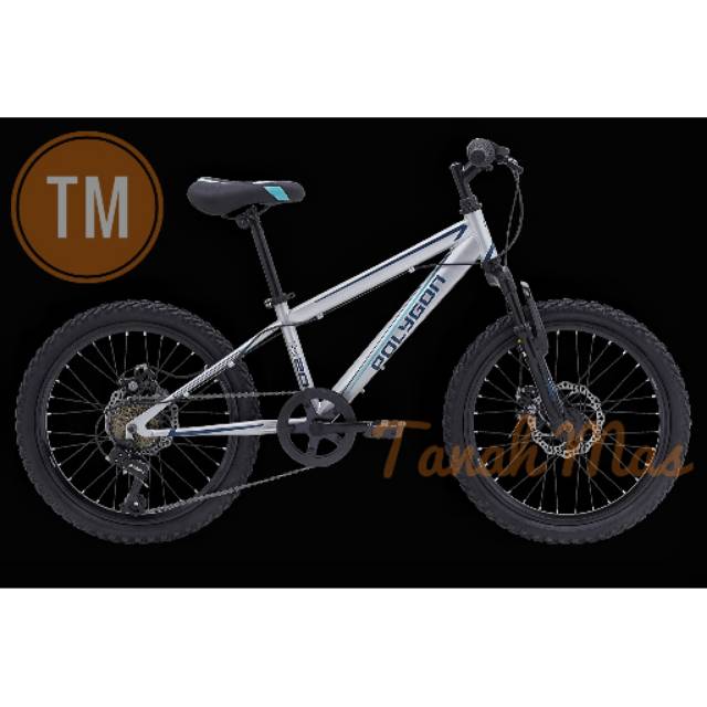 Sepeda MTB Polygon 20" MAZE M20