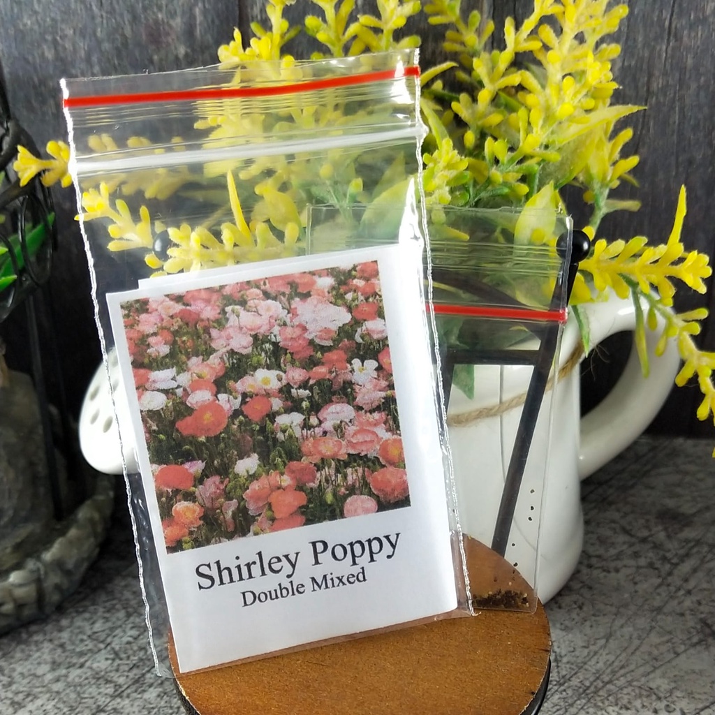 30 Seeds - Shirley Poppy Double Mix Biji Bunga - SR0209