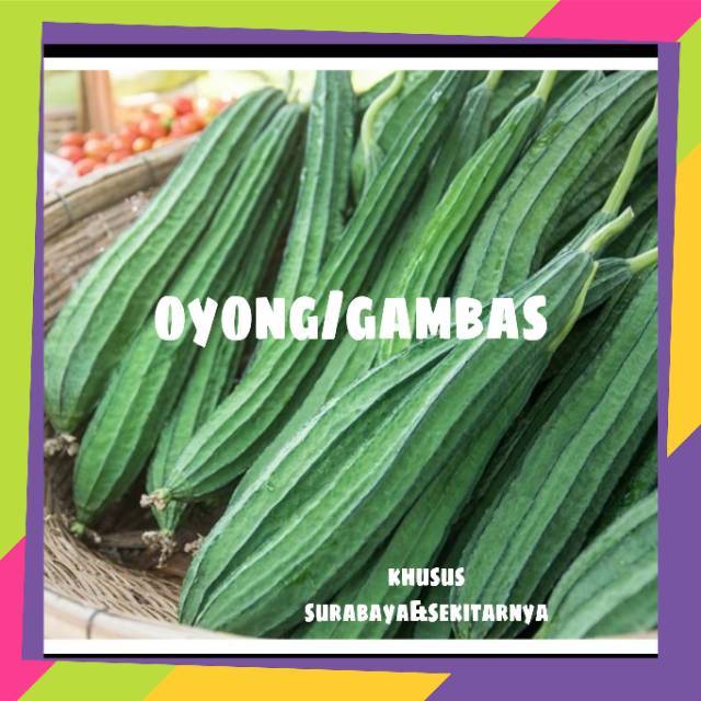 

Sayur oyong sayur gambas || sayur online murah surabaya