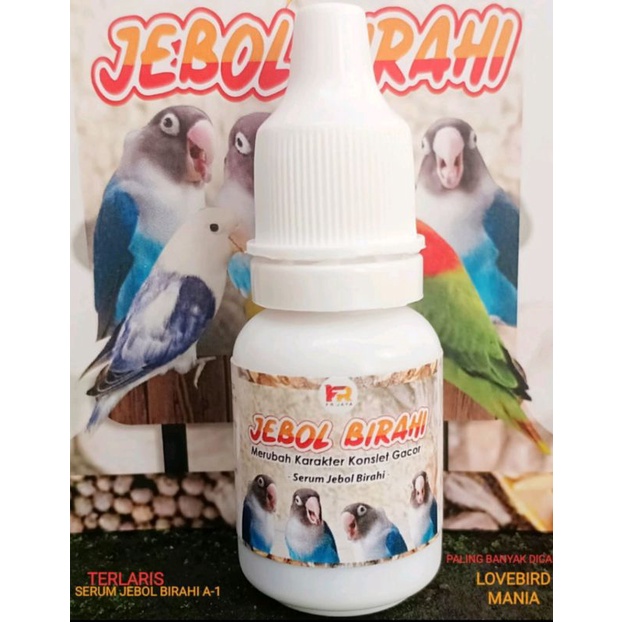 JEBOL BIRAHI FR JAYA