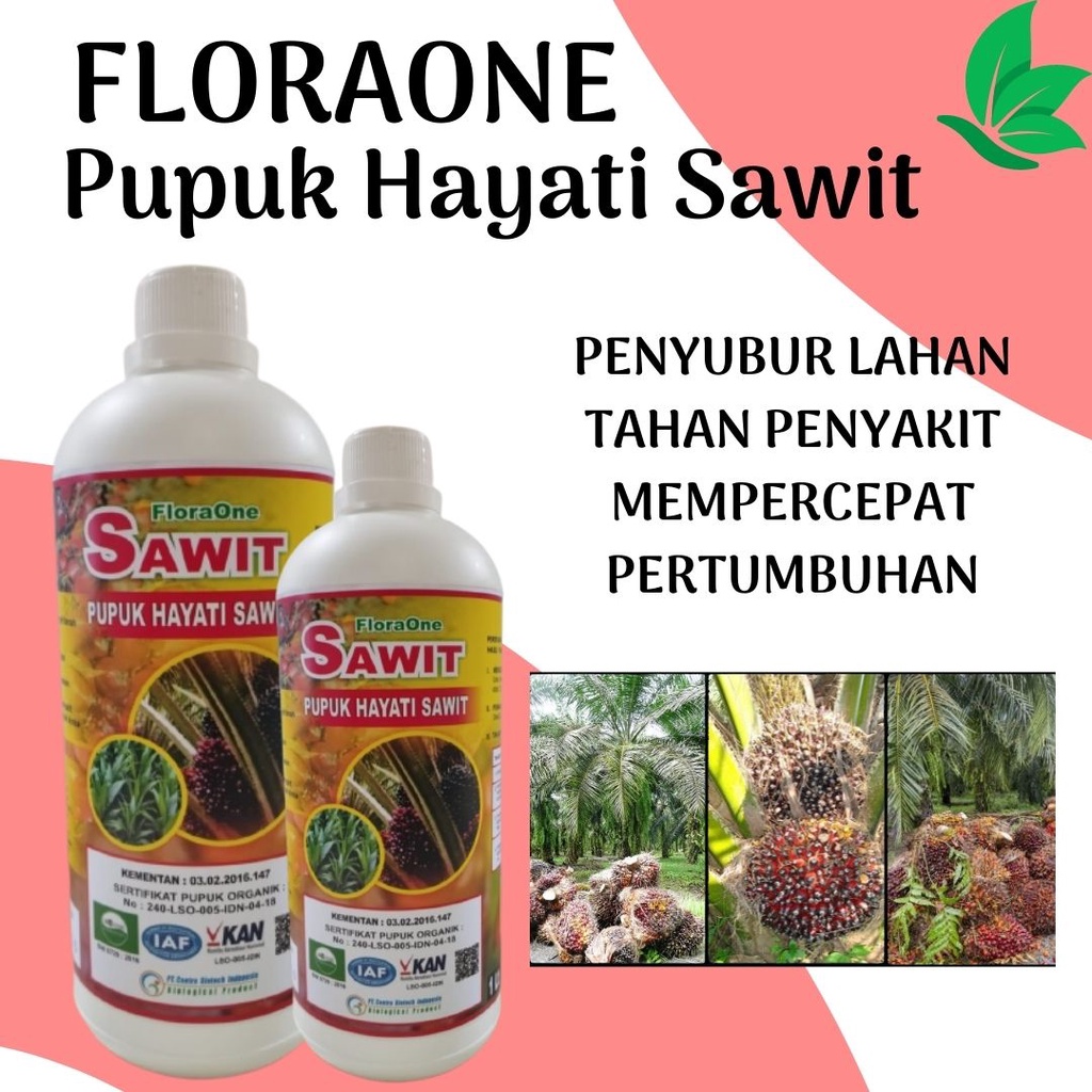 Pupuk Kelapa Sawit, Pupuk Sawit Agar Cepat Berbuah Floraone, Booster Sawit Berbuah Lebat