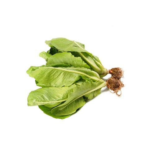 

Romaine Lettuce 250gr