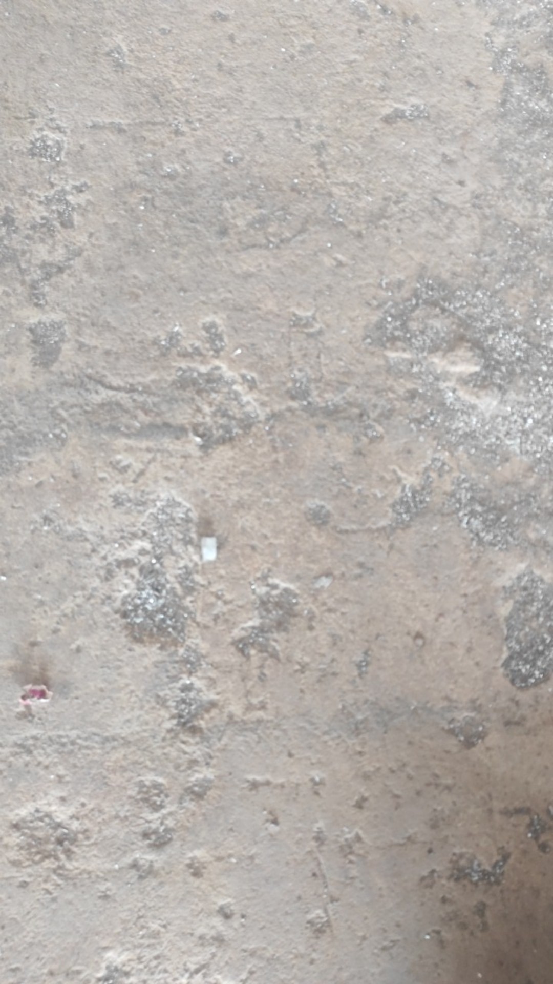 Alat Kloset Duduk Kodok / Sparepart Tabung Kloset Kodok Harga Agen