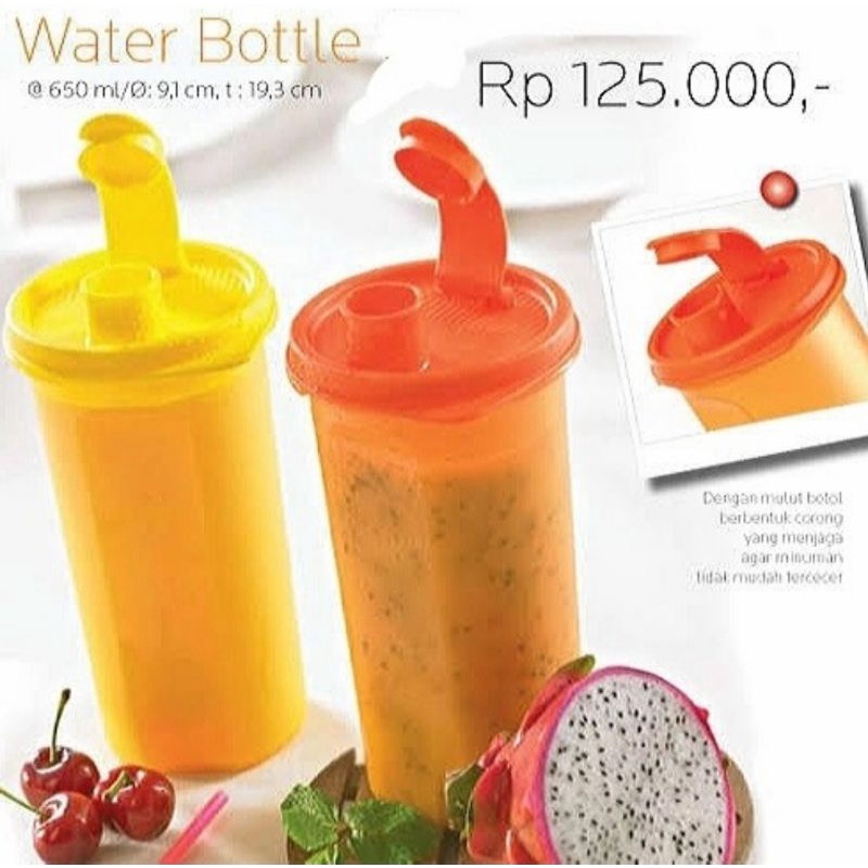 tupperware water bottle 650ml