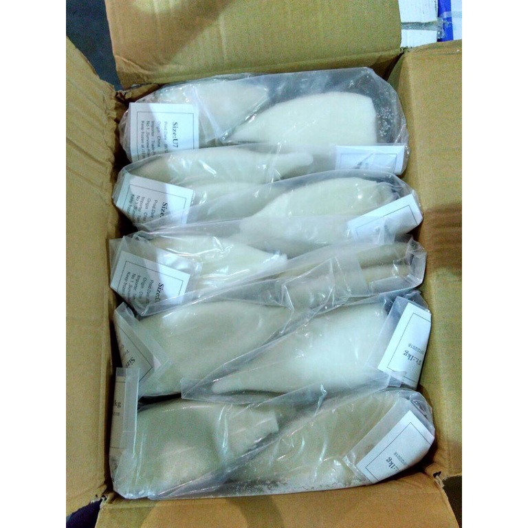 Cumi Kupas Bersih / Cumi Tube Frozen Import - 1kg