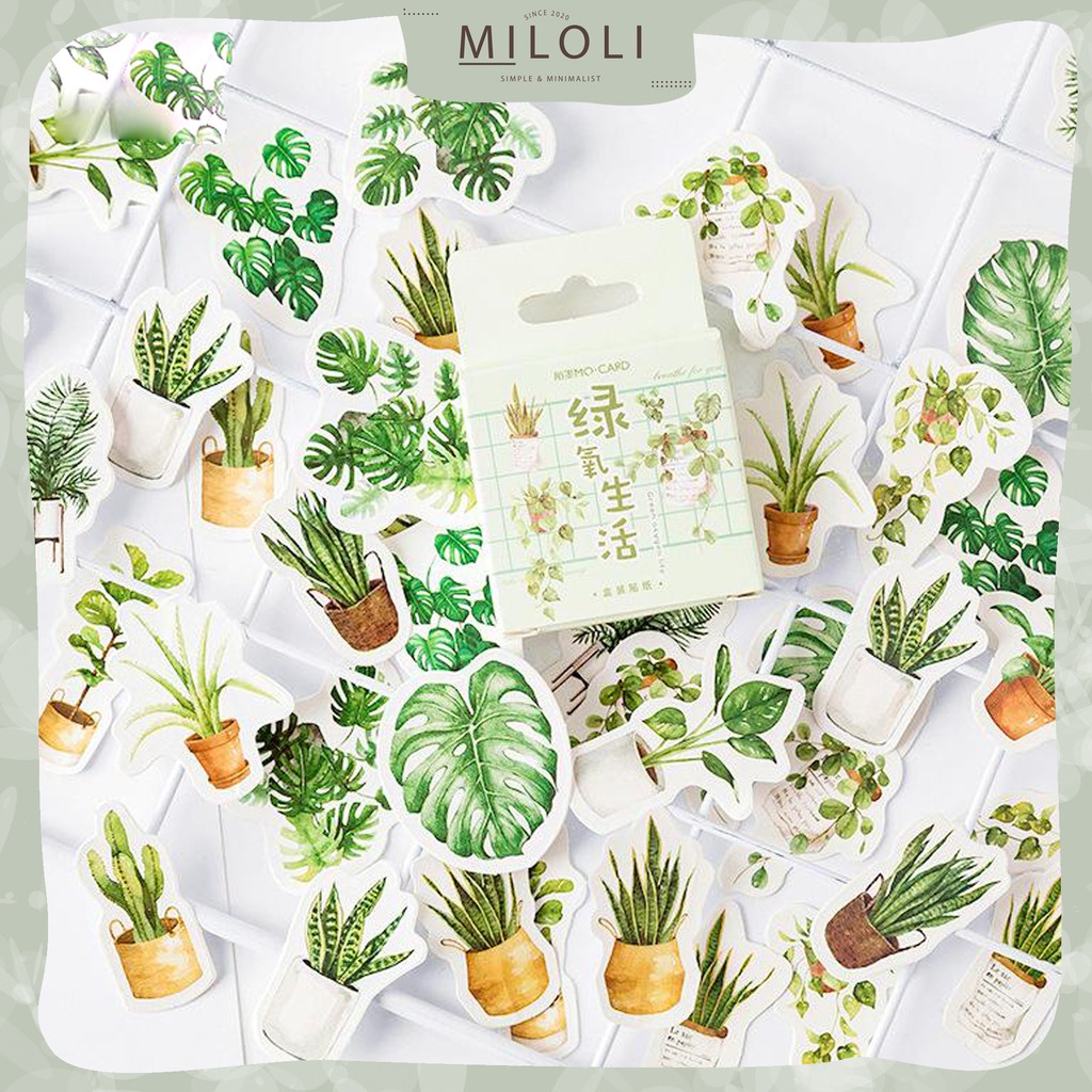 

[MILOLI] 46 Pcs GREEN PLANTS Deco Sticker Planner DIY Scrapbook Kotak - B0035