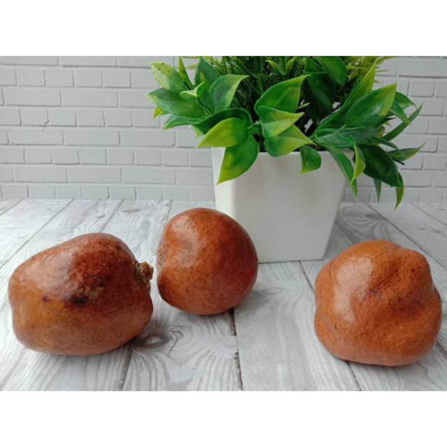 

Buah zuriat
