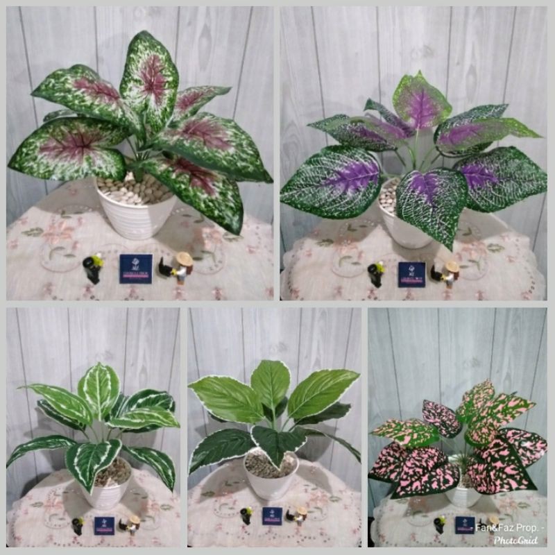 Aneka Tanaman Daun Imitasi dan Keladi Artificial dalam Pot untuk Dekorasi Murah
