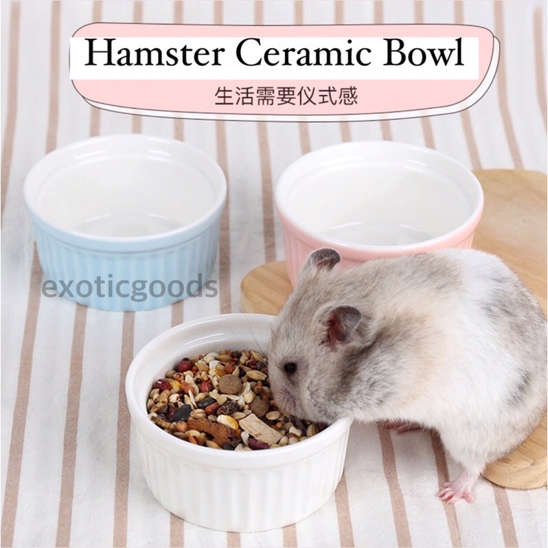 tempat makan hamster keramik tempat makan sugar glider mangkok hamster keramik mangkok sugar glider 