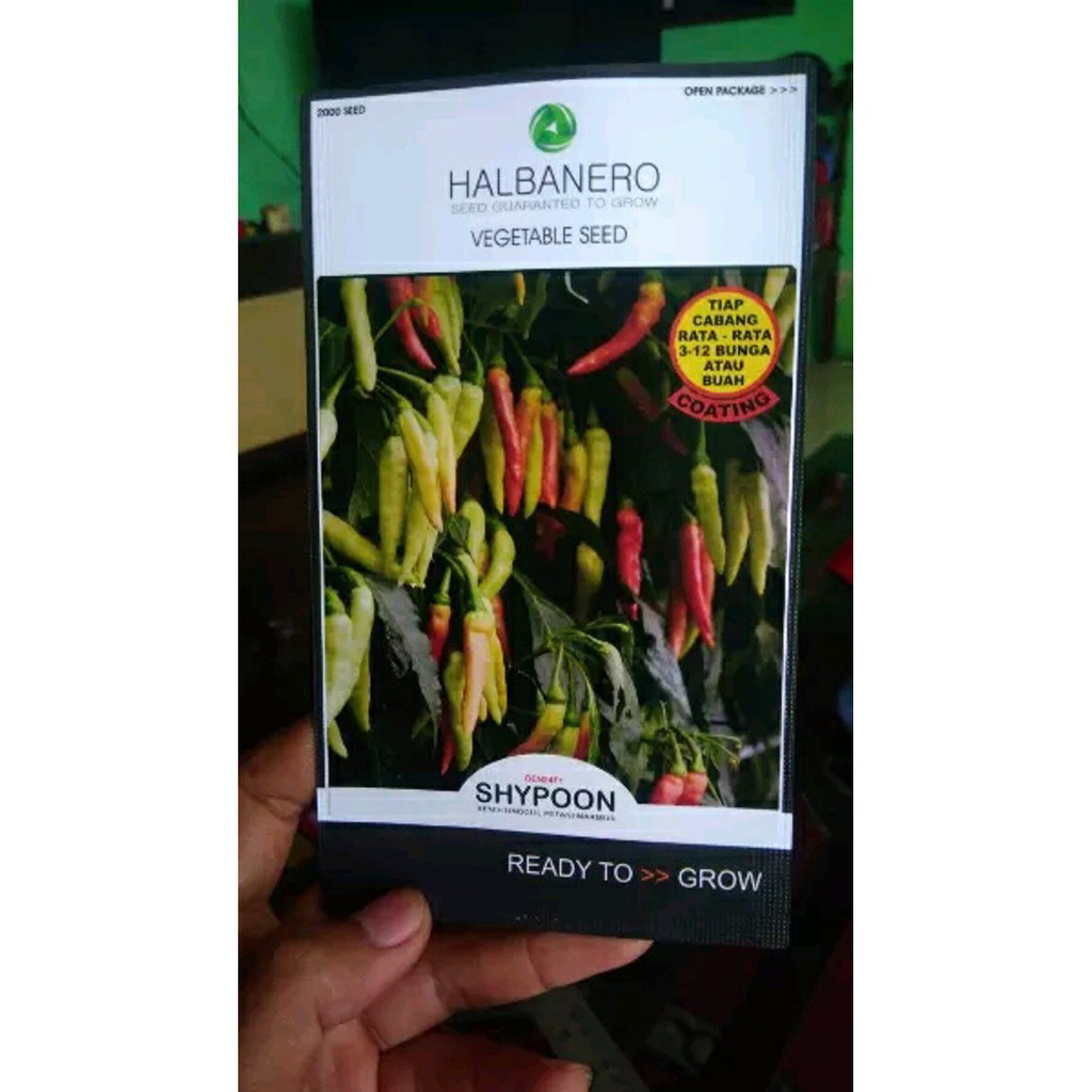 PROMO benih cabai shypoon