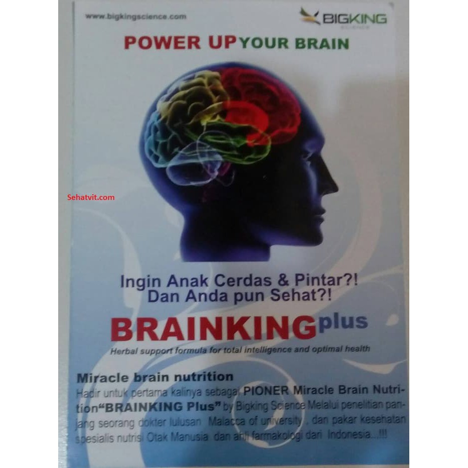 DISKON -  Brainking Plus jaminan Asli
