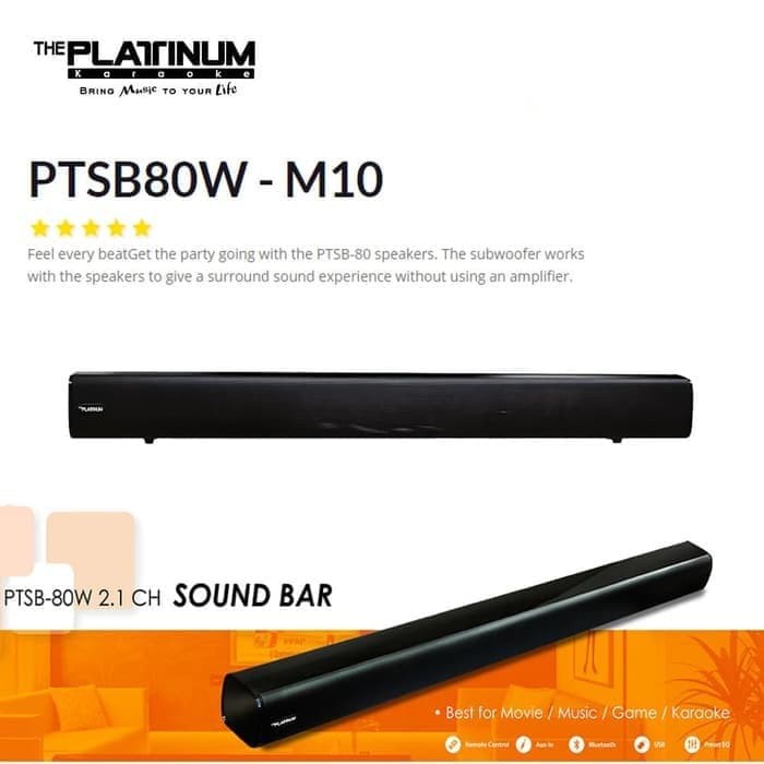 platinum karaoke speaker