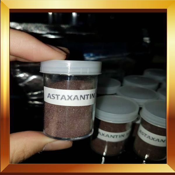 

Hot Sale astaxanthin 10gr bubuk 100% ORI JEPANG (pewarna merah alami ikan)