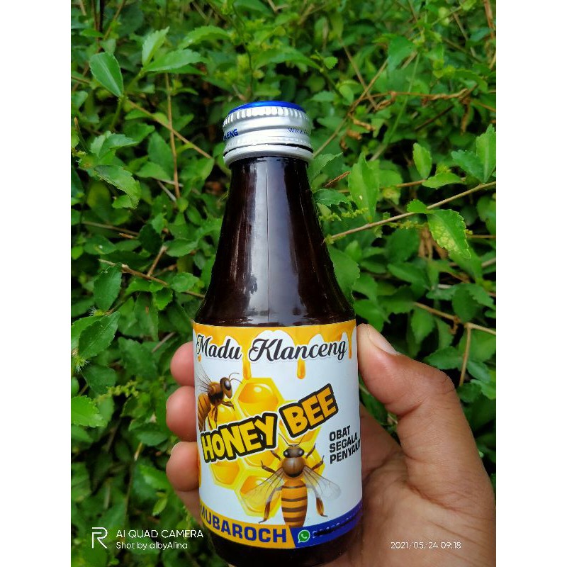 

Madu Klanceng