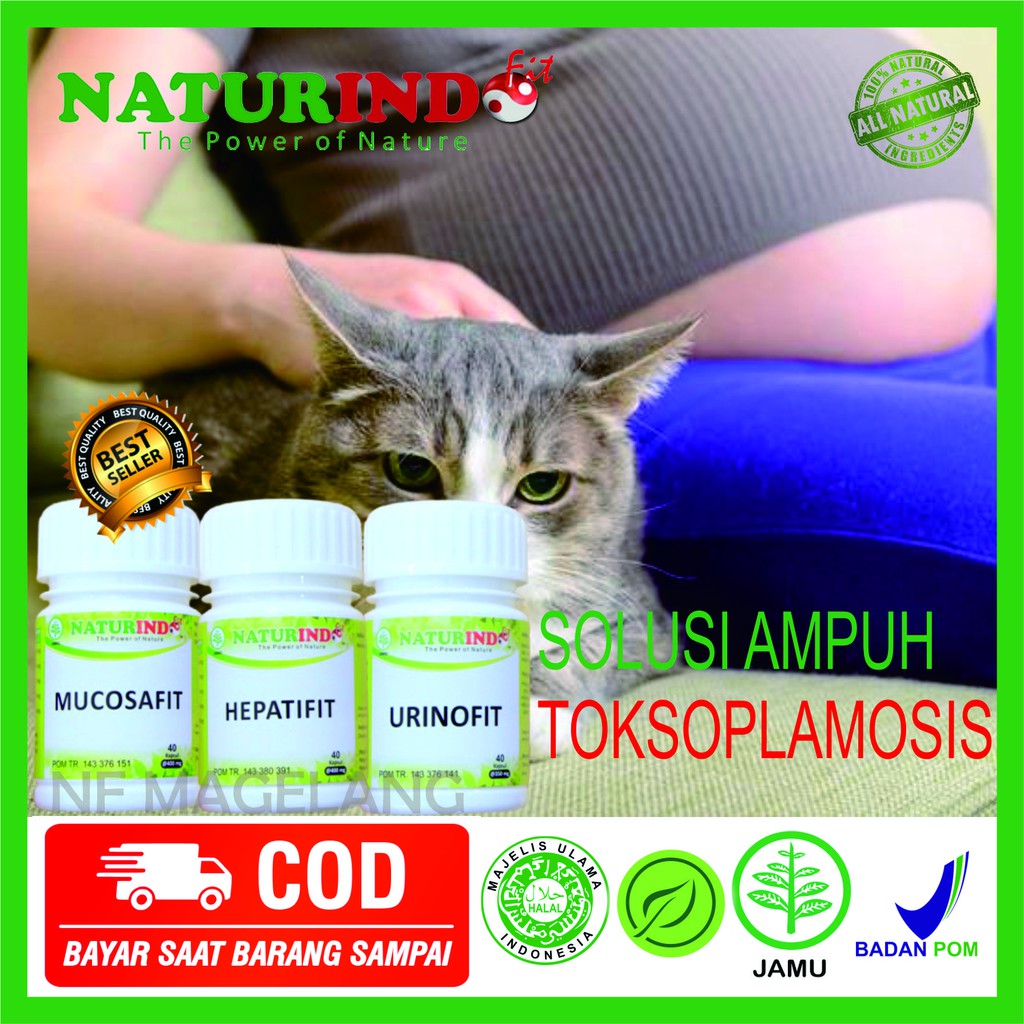 OBAT gangguan telinga obat gangguan pendengaran kurang pendengaran  penyakit toxoplasmosis
