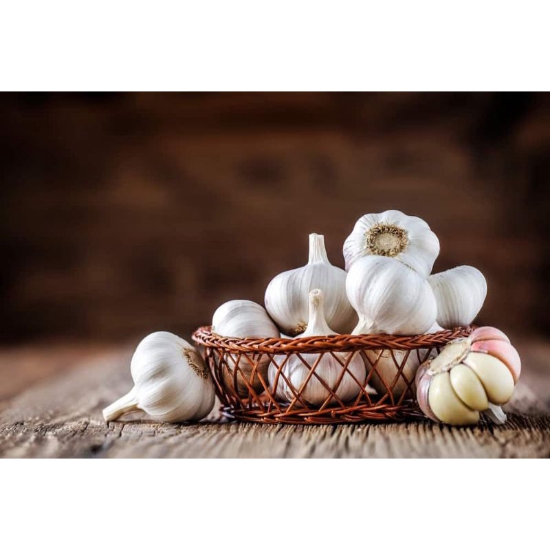 

Bawang putih apel/bawang putih biasa