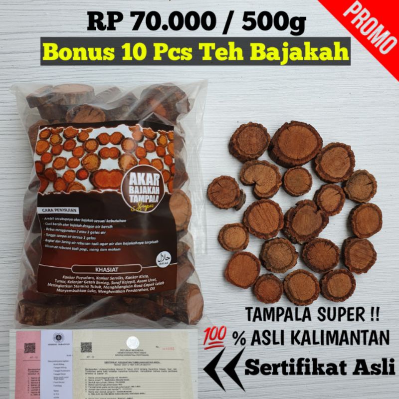 Akar Bajakah Tampala Super Asli Kalimantan (500gr)