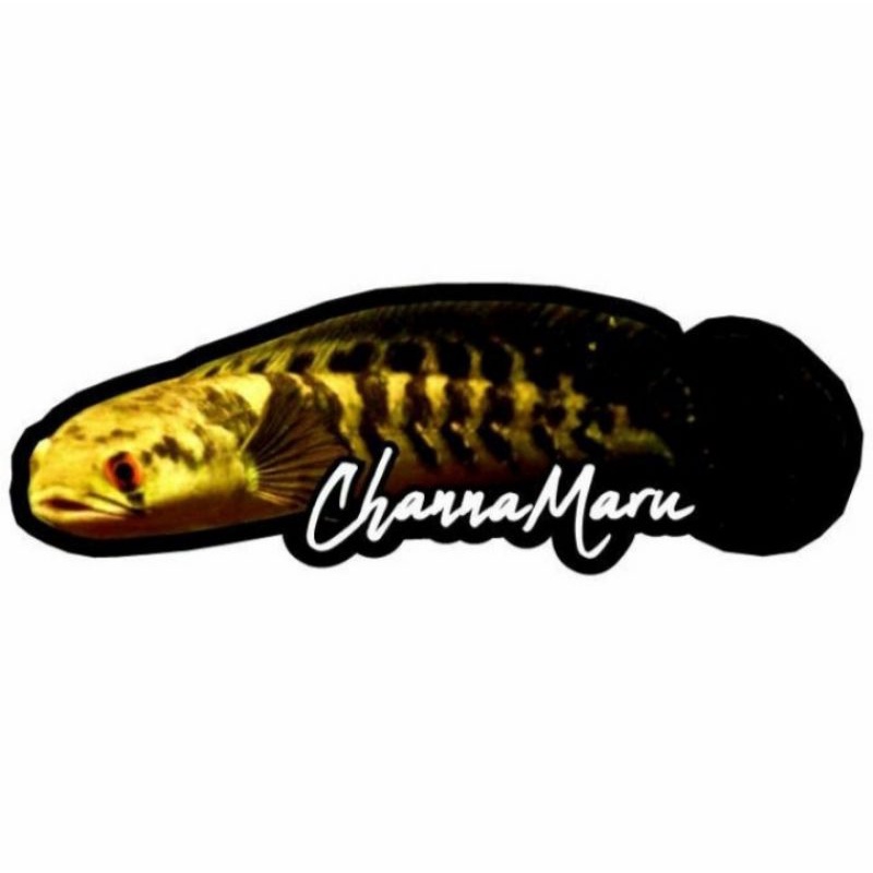 STICKER CHANNA MARU 2