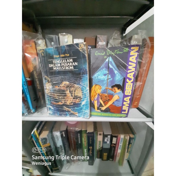 novel 5 Sekawan