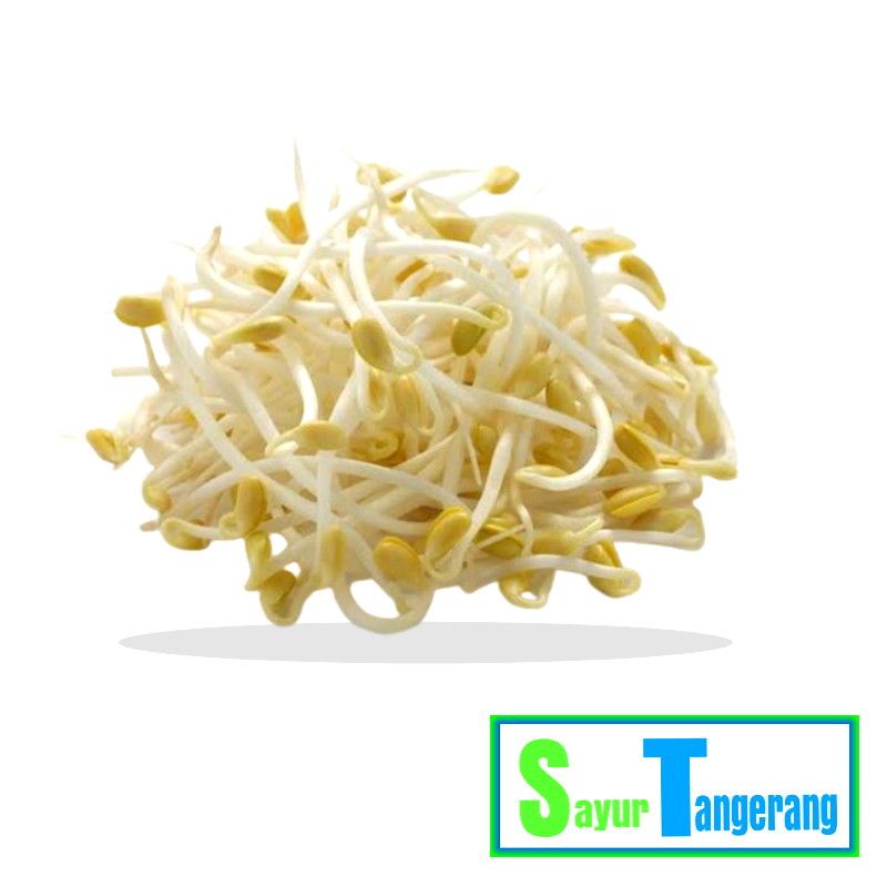 

Toge / Tauge 250 gr
