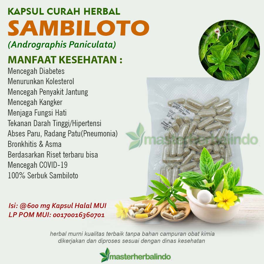 Jual Kapsul Curah Herbal SAMBILOTO 200x600mg Diabetes Hipertensi ...