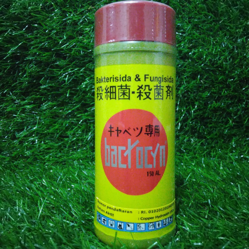 BACTOCYN 200 ml Bakterisida/fungisida/