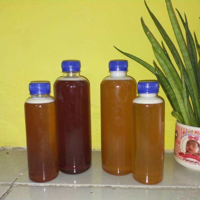 

Madu Asli Murni 100% 500ml