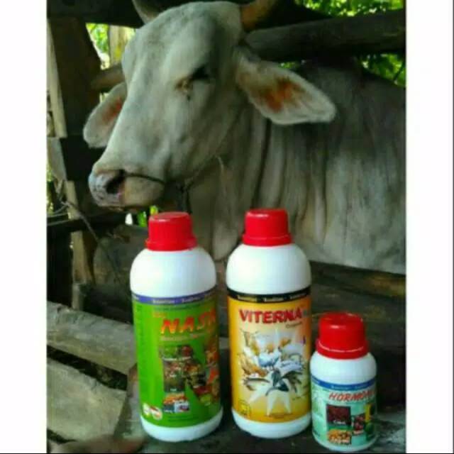 Paket penggemuk Sapi NASA