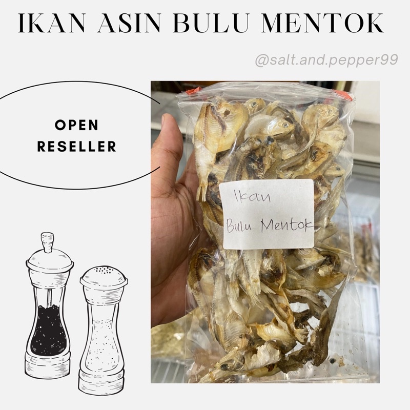 

Ikan Asin Bulu Mentok