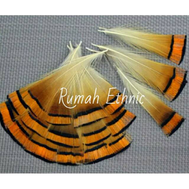 Bulu Ayam, Burung Hias, Natural Pheasant Feather Chicken Feather. Decorative materials Feather 