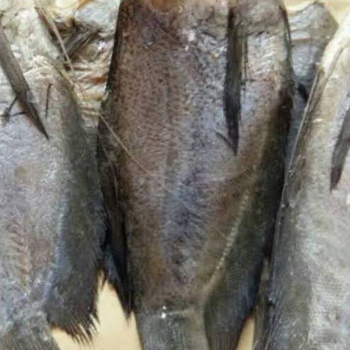 

Special - ikan asin sepat siam 500gram