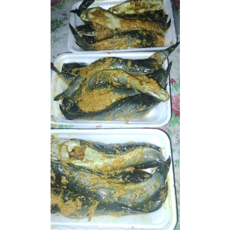 

{Lele Frozen} bumbu kuning siap goreng berat 500 gram