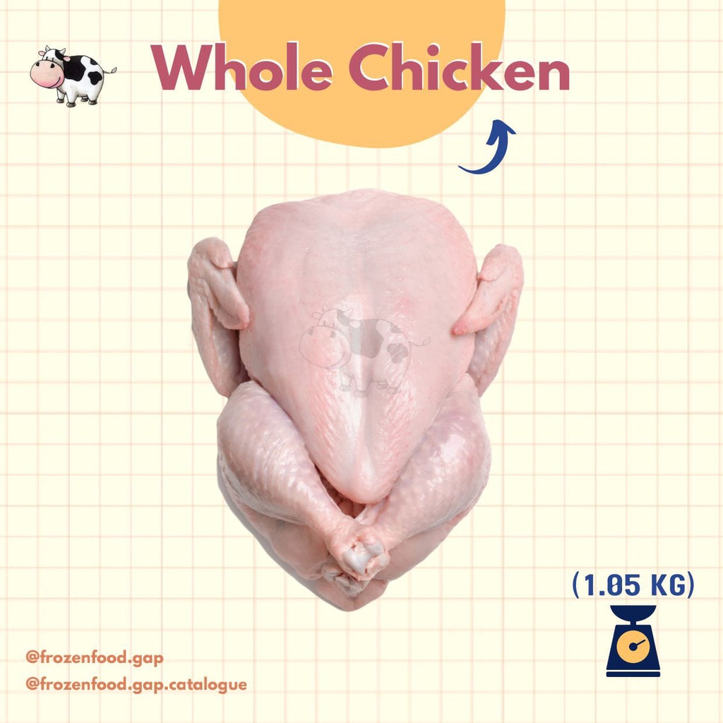 

Chicken Whole | Ayam Utuh | Frozen Meat | Daging Beku | Frozen Meat