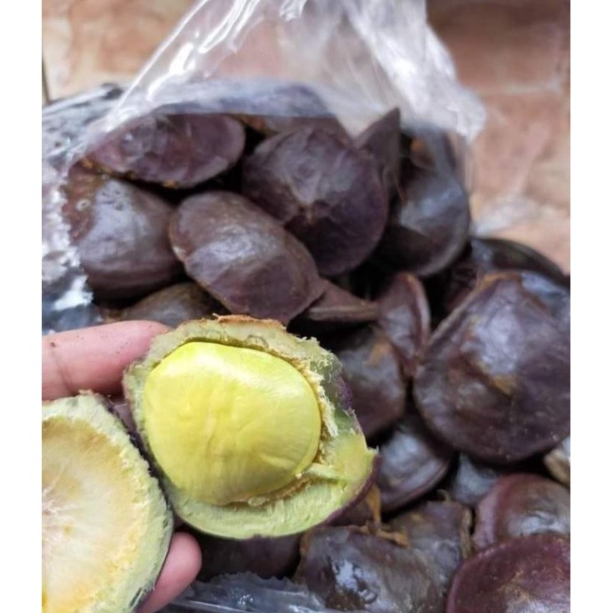 

jengkol 1kg/cangkang