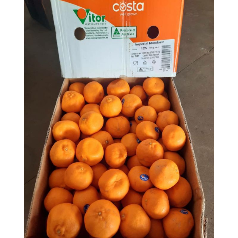 

Jeruk Afourer Australia 1 kg