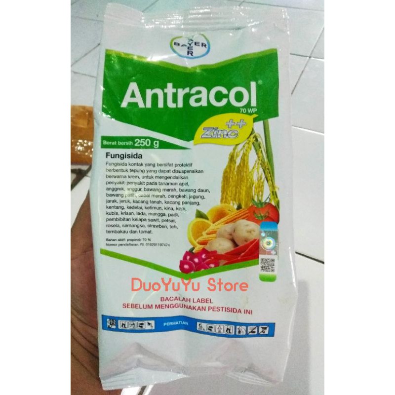 Antracol Fungisida 70 Wp Zinc 250 Gr Obat Jamur Tanaman Shopee Indonesia