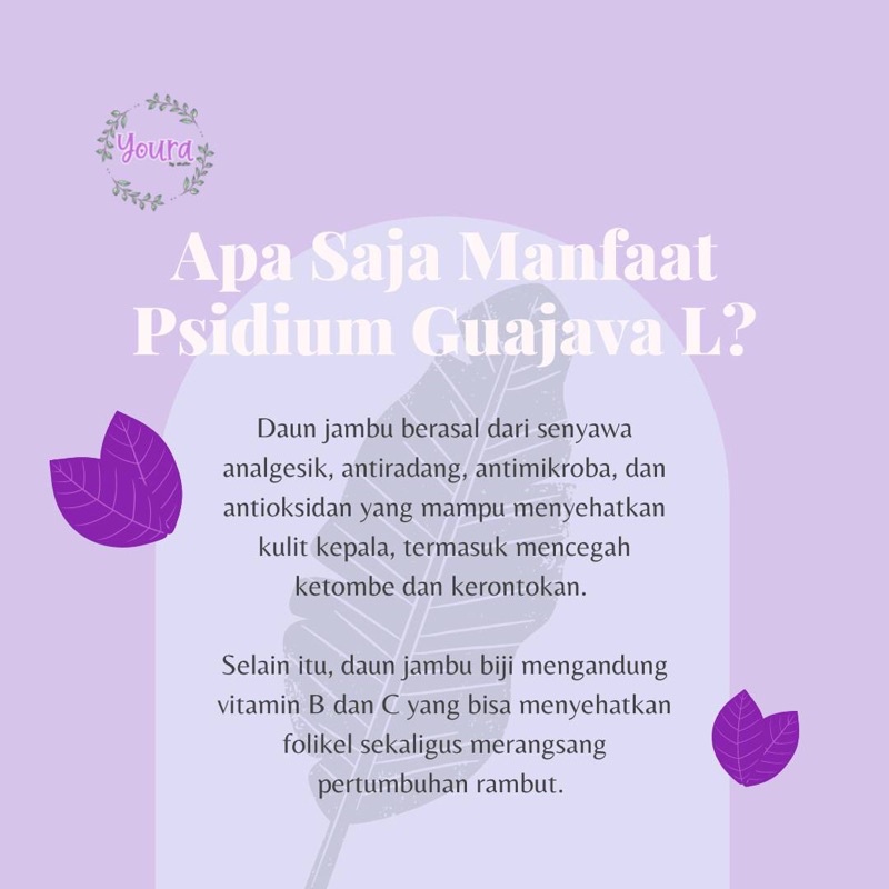 Youra Hair Tonic Growth Serum | Penyubur rambut & Mengatasi rambut rontok by akuitin-4