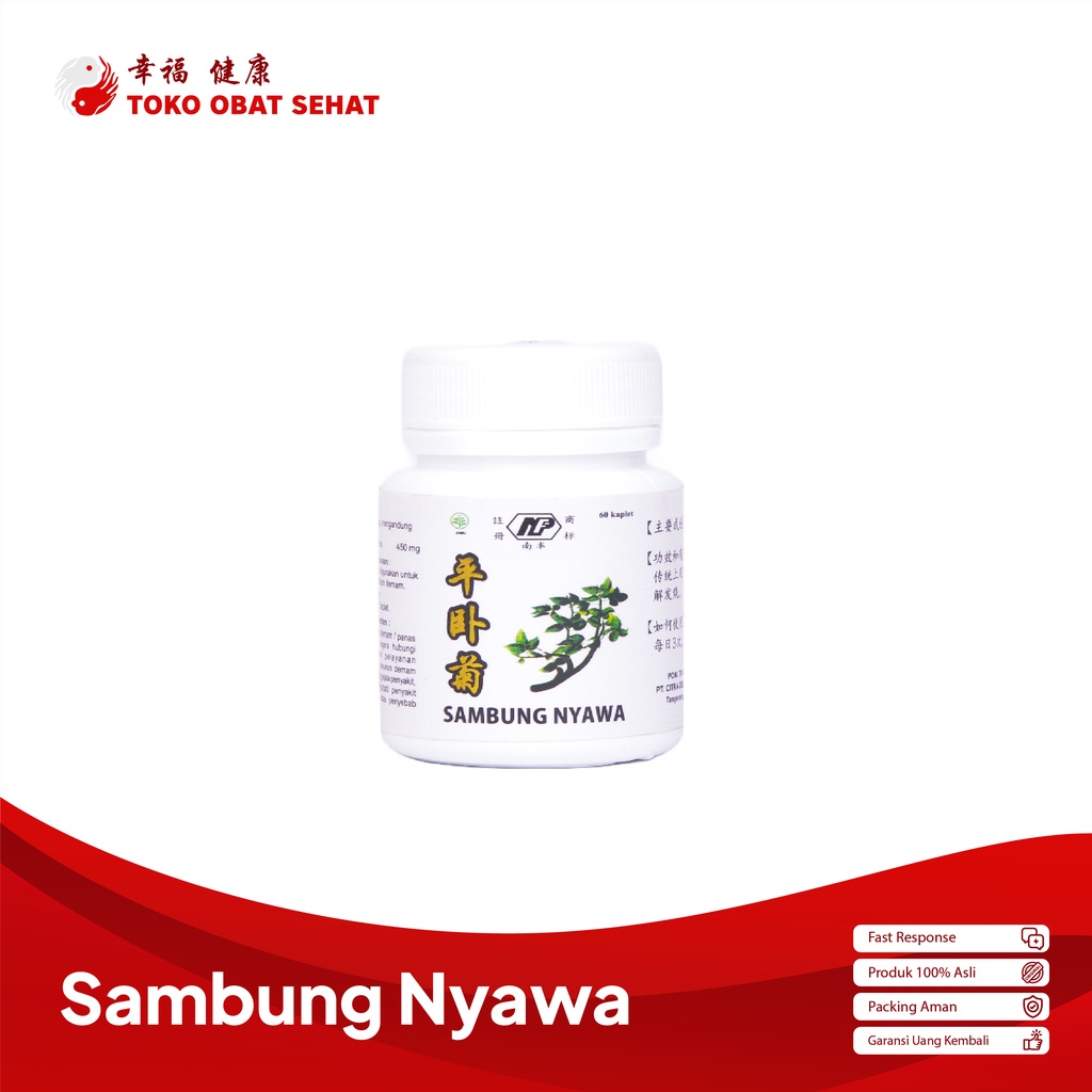 SAMBUNG NYAWA KAPLET obat wasir - ambeien herbal manjur