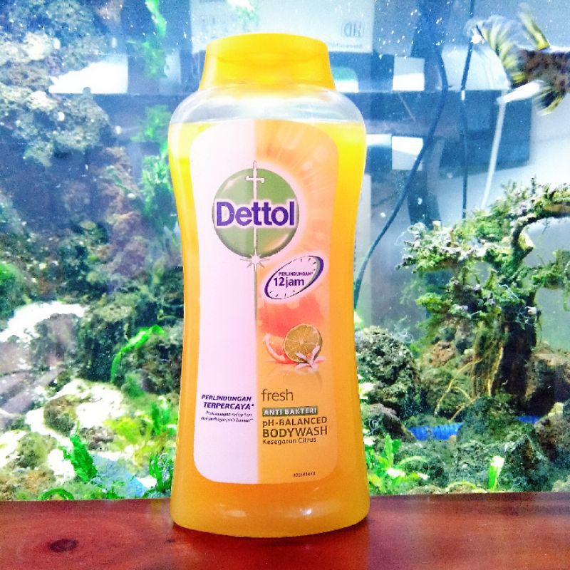 Dettol Fresh Bodywash 300ml