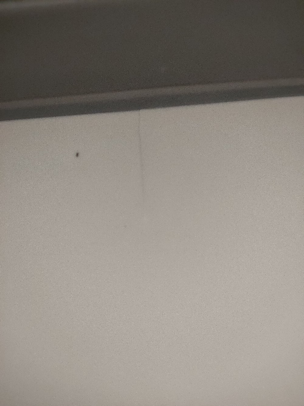 Talenan Telenan Lipat Baskom Multifungsi Gsf G 3040 / G-3040