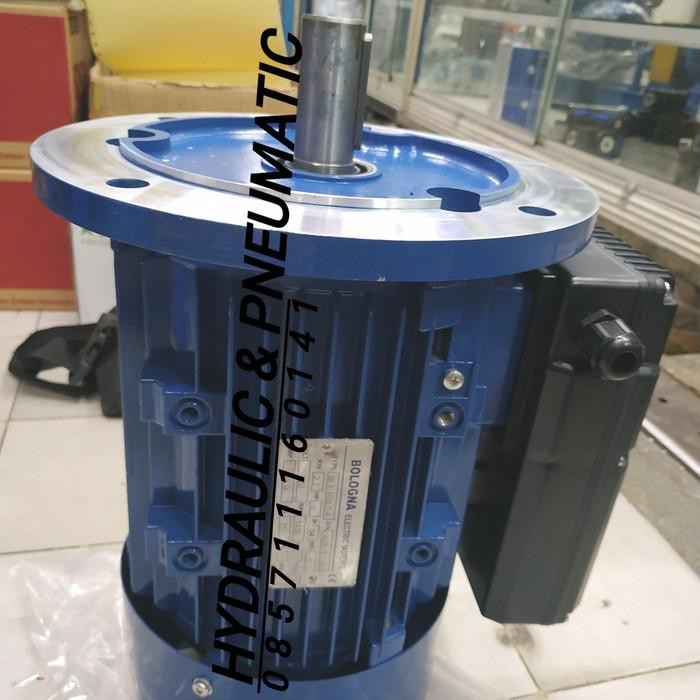 Motor Electric 1 Phase 3Hp 2,2Kw 4 Pole Flange Mounting Bologna spa