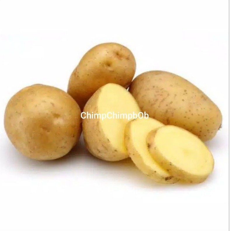 

KENTANG ORGANIK SAYUR SEGAR / FRESH ORGANIC POTATO 500 GRAM / PACK