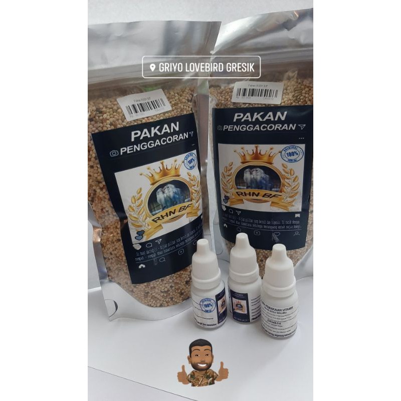 Pakan RHN Pakan Prio Gendub Salatiga RHN Team Vitamin RHN Penggacoran Lovebird Konslet