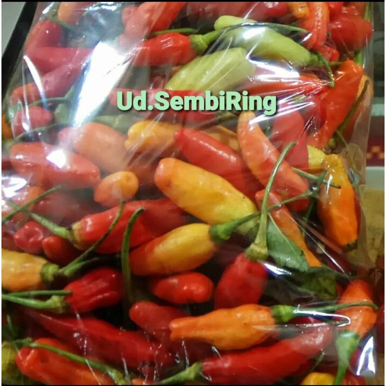 

Cabai Rawit Merah