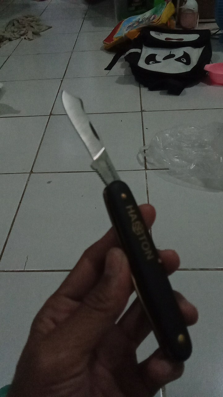 Pisau Grafting Okulasi Lipat Saku Stek Cangkok Ranting Pohon Prohex Hasston 3020-111