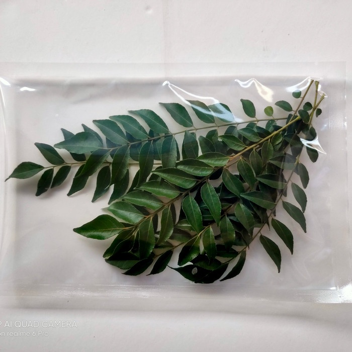 

NEW Fresh Curry Leaves Daun Kari Segar 7tangkai