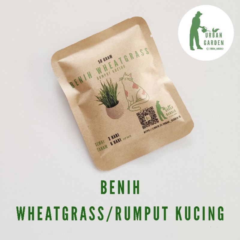 Benih Wheatgrass/Rumput Kucing Urban Garden