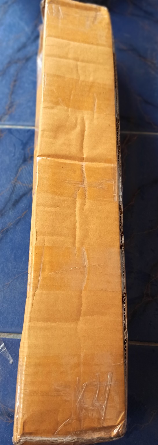 Tanaman Srigading Lemon - Sirih Gading Lemon - Srigading Love